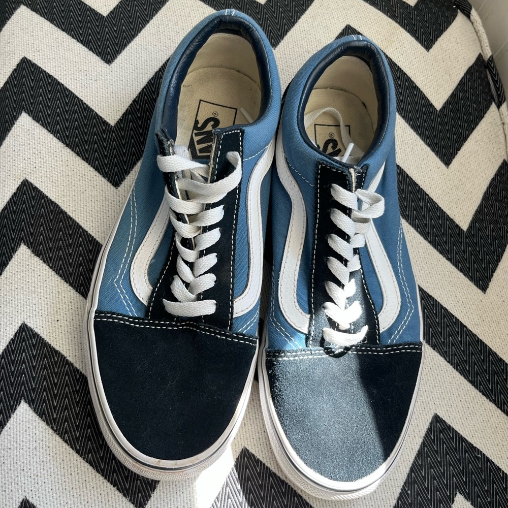Vans Blue and Black Low-Top Sneakers with White Stripe